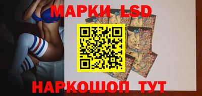 гашик Бийск
