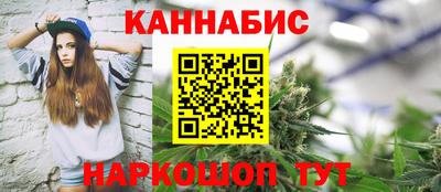 гашик Бийск