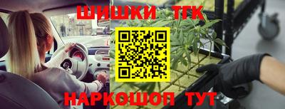 гашик Бийск