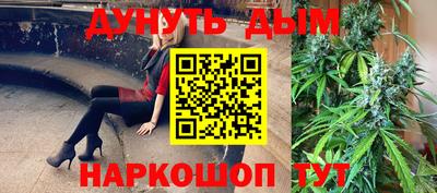 гашик Бийск