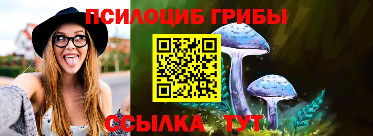 Галлюциногенные грибы мицелий  Вход с VPN  Кимовск 